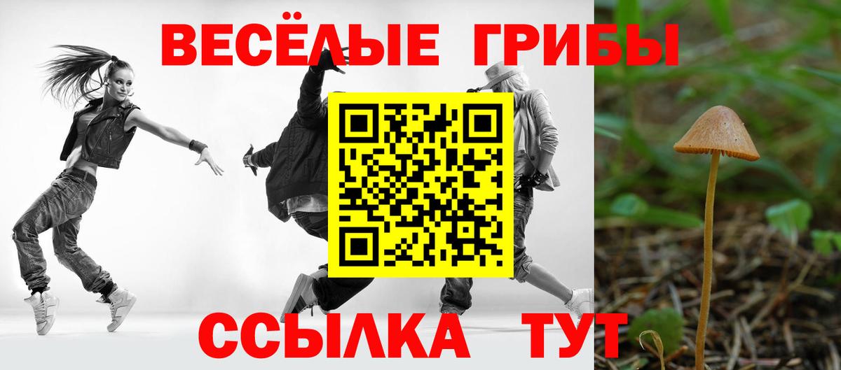 Анжеро-Судженск  Псилоцибиновые грибы ЛСД  цены   Вход с VPN  Псилоцибиновые грибы Psilocybe 