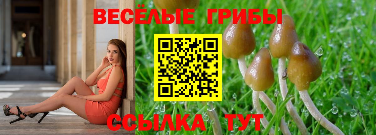Псилоцибиновые грибы прущие грибы Анжеро-Судженск